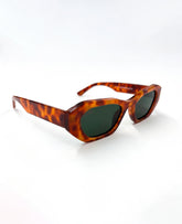 HEXA NEXA CAREY - WARMOUTH EYEWEAR